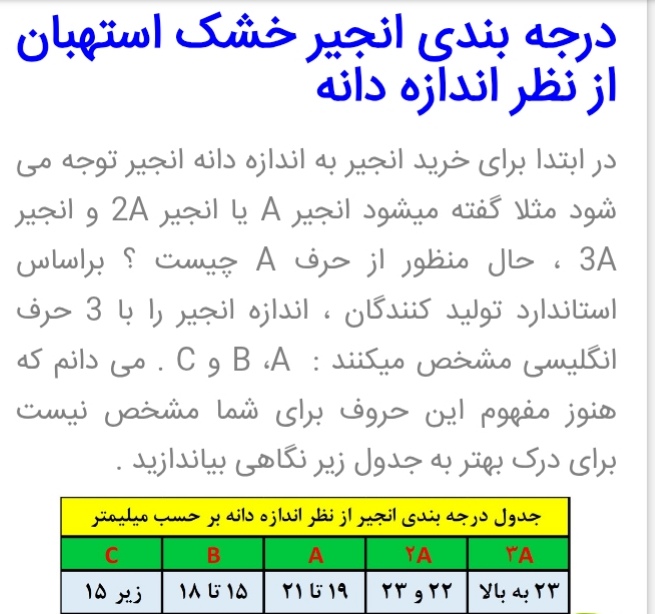 انجیر خشک استهبان صادراتی براساس اندازه دانه ها به چندین درجه تقسیم‌بندی می شود. این درجه بندی معمولا شامل دسته هایی مانند AAA یا سوپر(بزرگ تر از 24 میلیمتر) AA(حدود 22 میلیمتر) A(حدود 20 میلیمتر) و B(حدود 14 تا 20 میلیمتر) است. هر چه اندازه دانه ها بزرگ تر و رنگ آن ها روشن تر باشد، کیفیت و قیمت بالاتری دارند. 