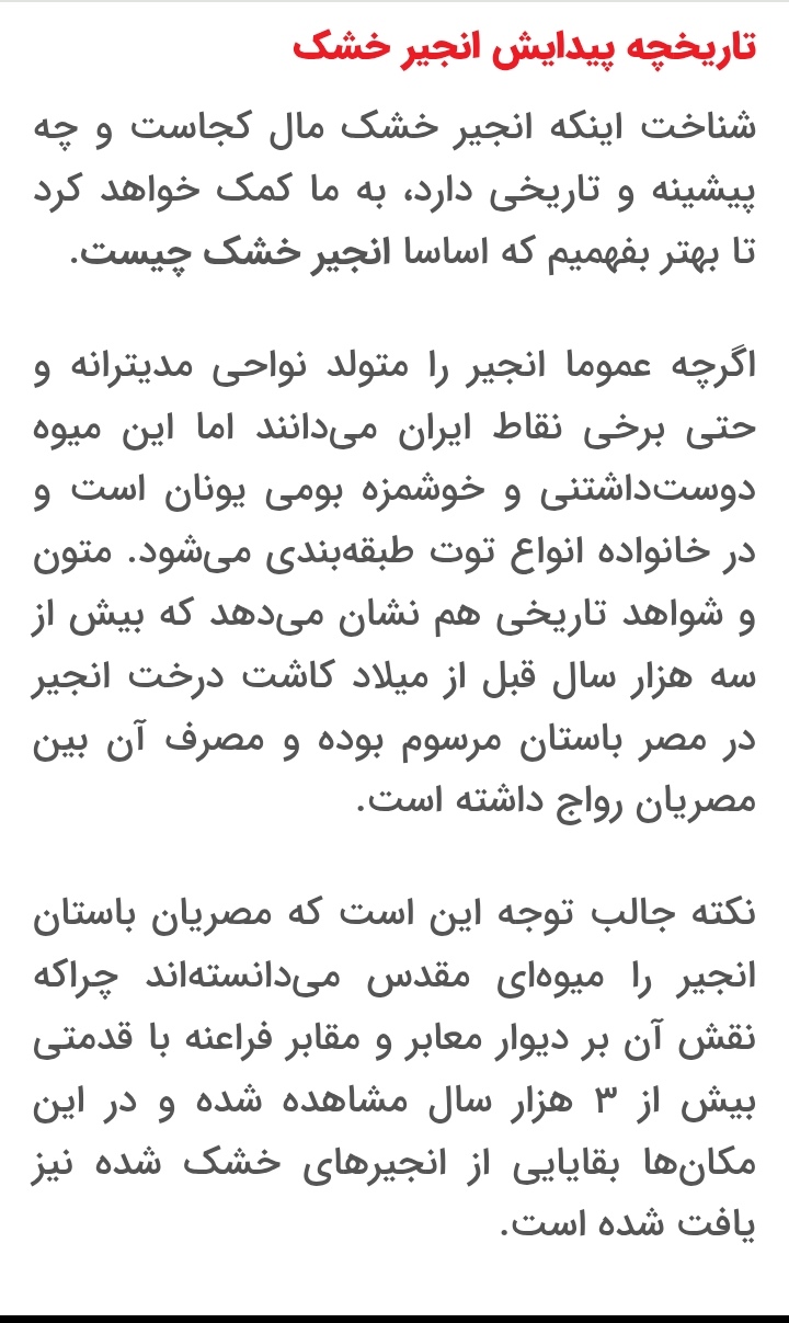 انجیر خشک یکی از قدیمیترین خوراکیهای بشر است. شواهد تاریخی نشان میدهد که کاشت درخت انجیر بیش از ۳۰۰۰ سال پیش از میلاد در مصر باستان رایج بوده است. مصریان باستان انجیر را میوهای مقدس میدانستند و از آن در مراسم مذهبی استفاده میکردندهمچنین، درخت انجیر در متون مذهبی و تاریخی دیگر نیز جایگاه ویژهای دارد. برای مثال، در تورات و قرآن کریم به این میوه اشاره شده است. در ایران، شهرستان استهبان به عنوان یکی از قطبهای تولید انجیر خشک شناخته میشود و قدمت برخی از درختان انجیر این منطقه به بیش از ۴۰۰ سال میرسد