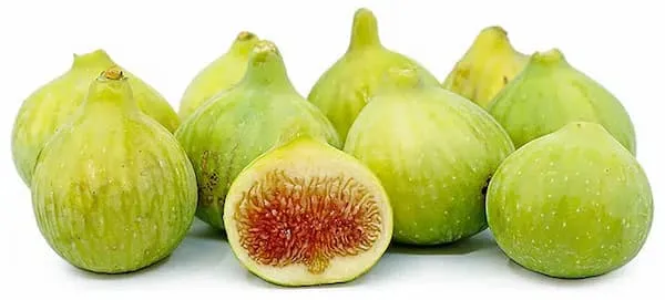 قیمت خرید انجیر سمنان + فروش در تجارت و صادرات