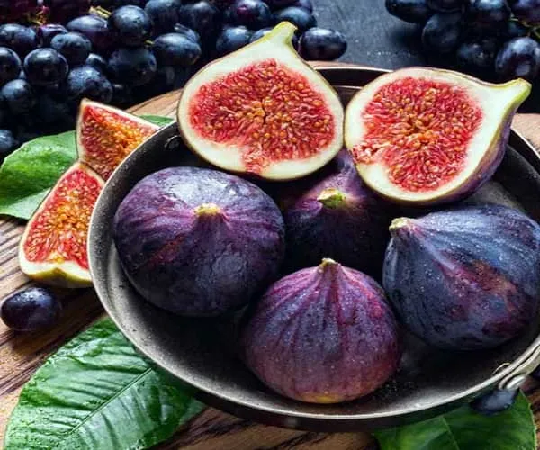 معرفی انجیر استهبان تازه + بهترین قیمت خرید