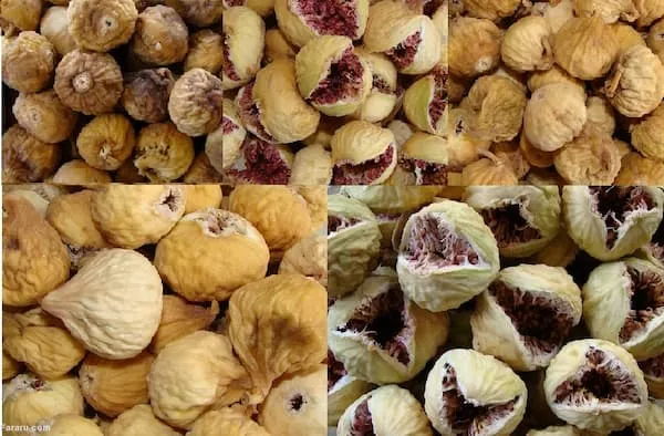 خرید انواع انجیر خشک کوهی + قیمت