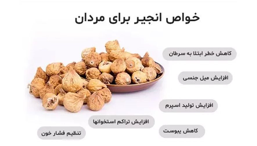 ### خواص انجیر خشک برای مردانانجیر خشک یکی از خوراکیهای مغذی و پرخاصیت است که فواید بسیاری برای سلامت مردان دارد. این میوه خشک سرشار از ویتامینها، مواد معدنی و آنتیاکسیدانهاست که میتواند به بهبود عملکرد بدن و افزایش انرژی کمک کند. #### فواید انجیر خشک برای مردان - تقویت سیستم ایمنی: انجیر خشک حاوی ویتامینها و مواد معدنی ضروری است که به تقویت سیستم ایمنی بدن کمک میکند. - افزایش انرژی و استقامت: این میوه خشک به دلیل داشتن قندهای طبیعی، یک منبع عالی برای افزایش انرژی و استقامت فیزیکی محسوب میشود. - بهبود عملکرد جنسی: مصرف منظم انجیر خشک میتواند به تنظیم هورمونها و افزایش قدرت جنسی مردان کمک کند. - سلامت قلب: انجیر خشک دارای پتاسیم و فیبر است که به کاهش فشار خون و بهبود سلامت قلب کمک میکند. - تقویت استخوانها: این میوه خشک حاوی کلسیم و منیزیم است که به افزایش تراکم استخوانها و جلوگیری از پوکی استخوان کمک میکند. - افزایش تولید اسپرم: انجیر خشک به دلیل داشتن آنتیاکسیدانها و مواد مغذی، میتواند به افزایش تولید و تحرک اسپرم کمک کند. اضافه کردن انجیر خشک به رژیم غذایی روزانه میتواند تأثیرات مثبتی بر سلامت عمومی مردان داشته باشد.