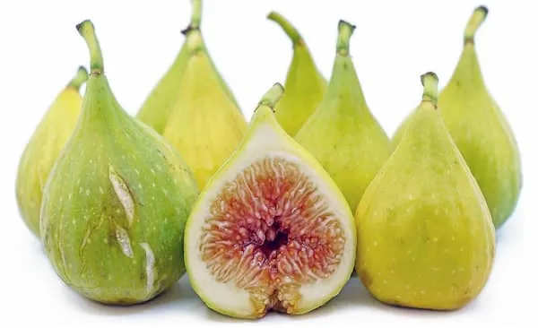 خرید انجیر گلابی + معرفی کارخانه تولید و عرضه پخش
