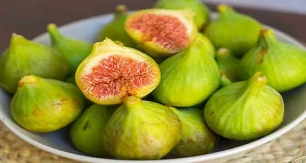 قیمت خرید انجیر سفید استهبان + مشخصات، عمده ارزان
