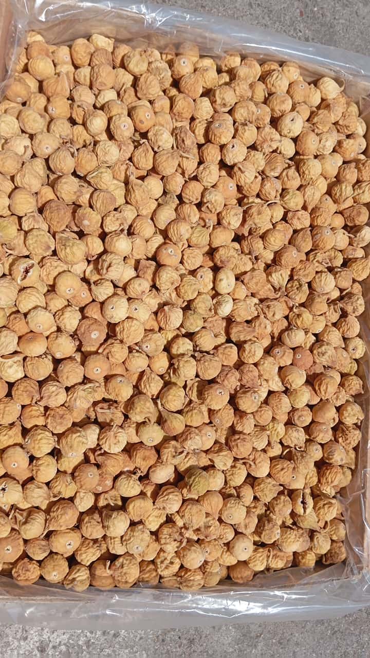 انجیر خشک استهبان صادراتی